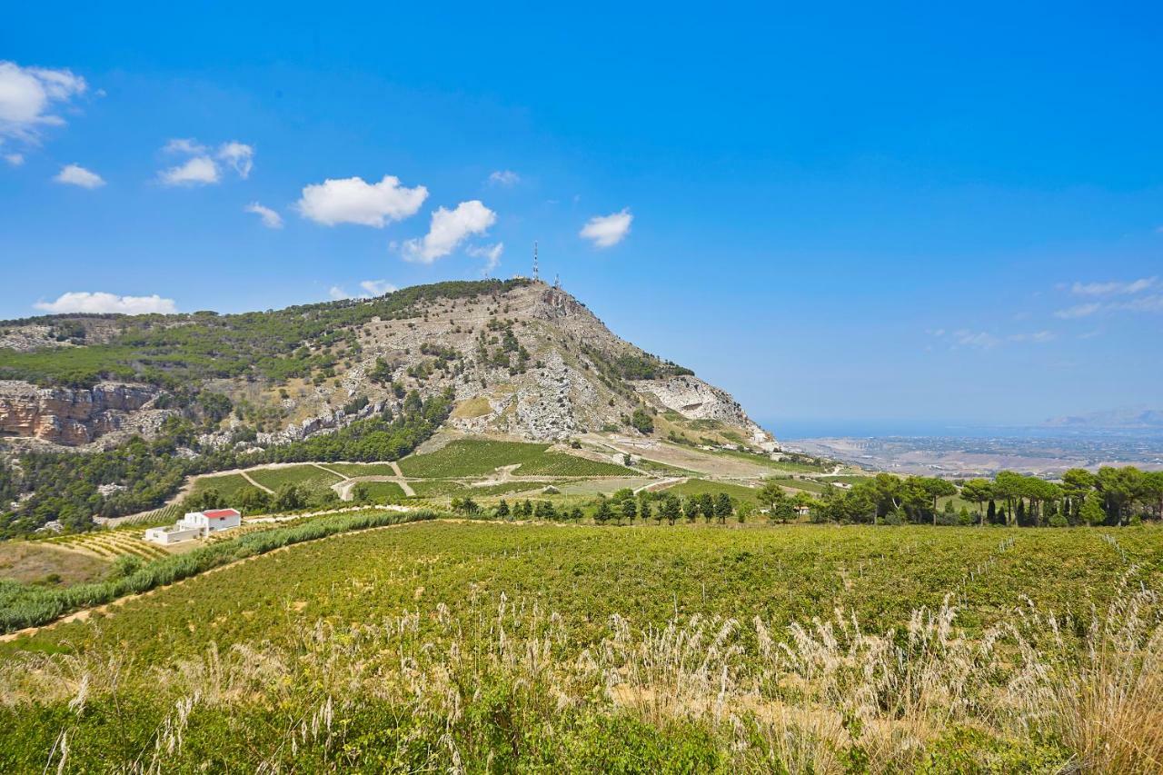 Villa Bonifato Vista Sulle Campagne E Sul Mare Siciliano Cozy House Italy Alcamo Exterior photo